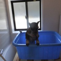 2014_04124-10お風呂