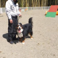 2014_04064-5マックスくん