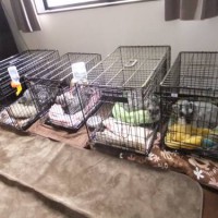 2014_04064-5スタッフ