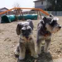 2014_04024-2めーまめちゃん