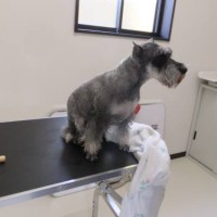 2014_04124-10トリミング