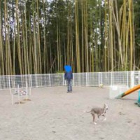 2014_04194-17トム君