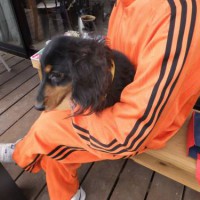 2014_04064-5ゆずちゃん