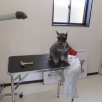 2014_04124-10トリミング２