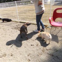 2014_04014-1三姉妹