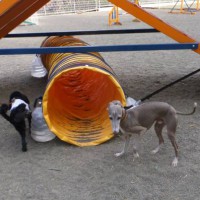 2014_04134-11トム君ウルくん