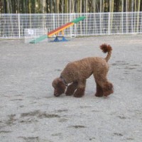 2014_04074-6ジョンちゃん