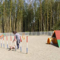 2014_04094-8ももスラ