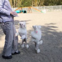 2014_04084-7アム、ムウちゃん