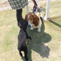 2014_04234-20ウルマロン