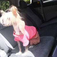 2014_04054-4けんちゃん