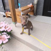 2014_04064-5サラちゃん