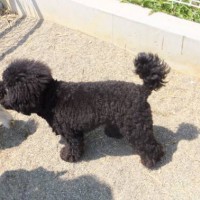 2014_04194-17もぐちゃん