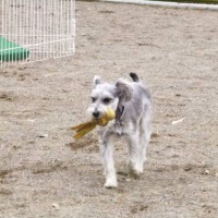 2014_04064-5ギンちゃん