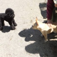 2014_04054-4もぐギャル