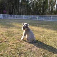 2014_04124-10ハーロック