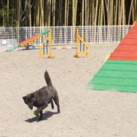 2014_04114-9さくら