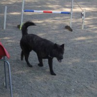 2014_04144-12さくらちゃん