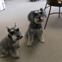 2014_04084-7めいメーテル