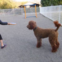 2014_04074-6ジョンちゃん２