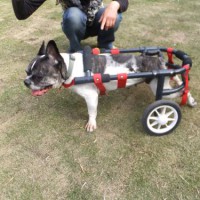 2014_04284-21ももちゃん