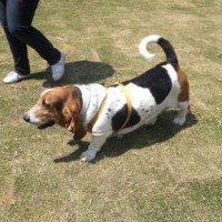 2014_04234-20まろん