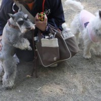 2014_04084-7めいちゃん