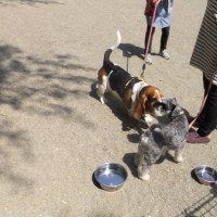 2014_04094-8まめマロン