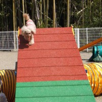 2014_04094-8ももAフレーム