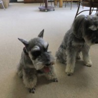 2014_04084-7メーテルめい