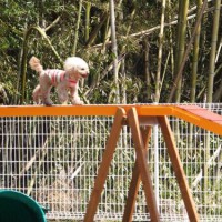 2014_04094-8ももウォーク