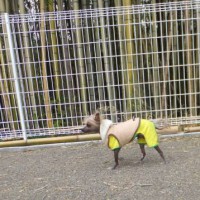 2014_04194-17ケンちゃん