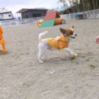 2014_04064-5ショウタくん