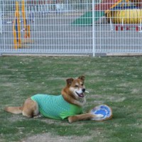 2014_05185-14ランくん