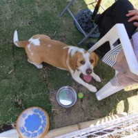 2014_05035-1むさしくん