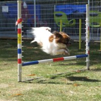 2014_05175-13くぅちゃん