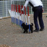 2014_05165-12ロイ君2