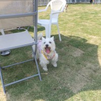 2014_05035-1momoちゃん