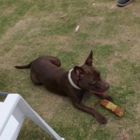 2014_05205-16サラちゃん２