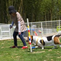 2014_05315-24マロンちゃん