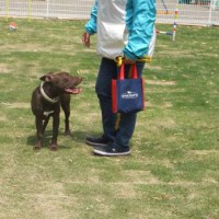 2014_05095-7サラちゃん