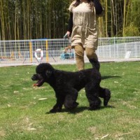 2014_05275-21もぐちゃん