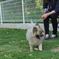 2014_05165-12ぽんちゃん