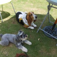 2014_05275-21マロンちゃんメーテル