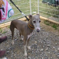 2014_05045-2トムくん