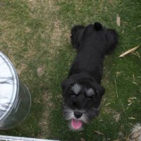 2014_05285-22ルネア２