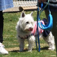 2014_05045-2ももちゃん