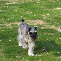 2014_05285-22クレア２