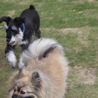 2014_05095-7ポンちゃんとムク君