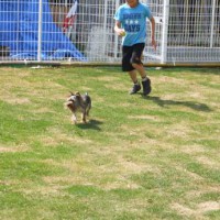 2014_05065-4あずきちゃん